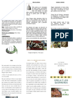 Triptico Orula PDF