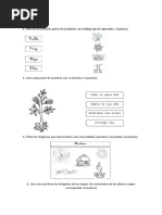 Evaluación 2 de Ciencias Naturales