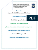 Planeación de Ciencias Naturales y Su Metodologia de La Enseñanza