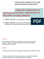 25 Learning - Memory1 PDF