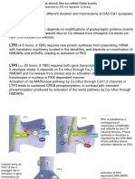 LTP1 ( 2 Hours, 1 TBS) Depends On Modifications of Postsynaptic Proteins (Mainly