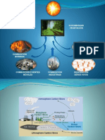 Módulo 2. Ciclos Biogeoquímicos