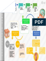 Sistemas Perceptivos