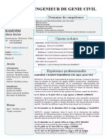 CV PDF