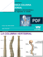 Biomecanica Del Movimiento Cervical Dorsal