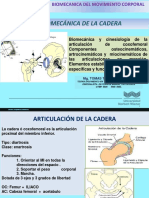 12 Biomecanica Cadera