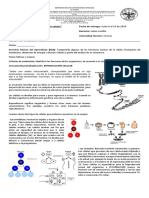 Guía 6 Biología Sexto