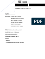 Trabajo Nro 25 PDF