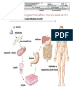 Guía de Niveles de Organizacion de La Materia