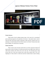 Nuclear Power Plant Report