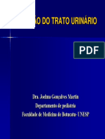 Infeccao Do Trato Urinario PDF