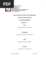 PDF Documento