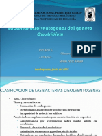 Bacterias Disolventogenas Del Genero Clostridium