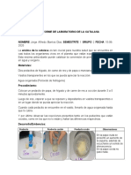 Informe de Laboratorio de La Catalasa