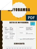 Análisis de La Ciudad de Moyobamba