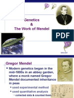 Genetics & The Work of Mendel: AP Biology