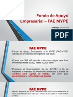 Fae Mype PDF