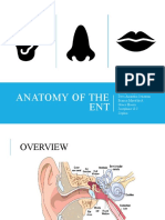 Anatomy and Physiology THT - Dr. Arief