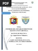 Informe Final Paucarcolla 1