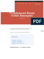 Essay-Examples CAE