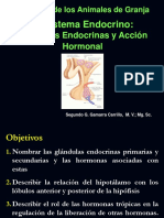 2-3 PPT GLANDULAS ENDOCRINAS Parte I 2017 II