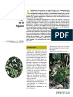 Necesidades de Riego en El Cultivo de La Higuera PDF