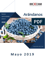 La Exportación de Arándanos