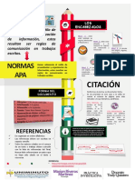 Infografia Practica Investigativa