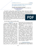 Effect of Ginger (Zingiber Officinale) and Garlic (Allium Sativum) To Enhance Health of Common Carp Cyprinus Carpio L