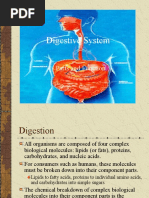 Digestive System: Parts and Function