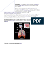 Sistema Respiratorio - Odt