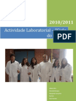 Actividade Laboratorial