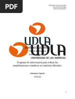 Proyecto de Intervencion Organizacional