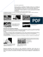 DEFECTOS DE SOLDADURA y PROCEDIMIENTOS INSPECCIÓN