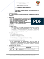 TDR Asistente Monitoreo Impacto Ambiental