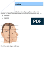 Anatomie Cranio-Faciale