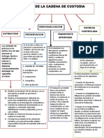 MAPA Conceptual DE LAS FASES DE LA CADENA DE CUSTODIA