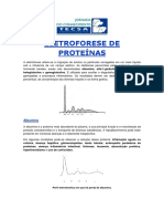 Eletroforese de Proteinas PDF