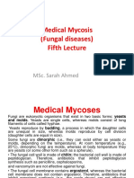 Medical Mycology Fifth Lecture PDF