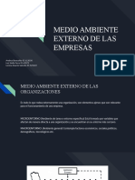 Mae Medio Ambiente Externo de Laorganización