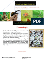 Clase Inagural de Entomologia I 2019