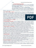 (Per) LAS FUNCIONES DE LA FAMILIA - Primer Año de Secundaria