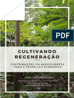 Agrofloresta e Transicao Economica