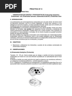 Practica 2. Amebas Intestinales