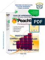 Guia-1 12° Peach