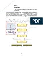 Alteraciones Del Ciclo Mestrual Corregido ALIZON