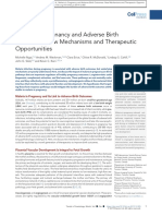 Malaria in Pregnancy and Adverse Birth Outcomes: New Mechanisms and Therapeutic Opportunities