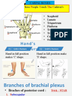 Medical Mnemonics