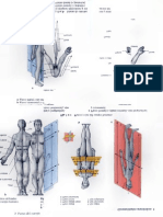 Human Anatomy For Artists TMK