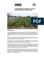 CV RiegoTecnificado PDF